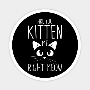 Are You Kitten Me Right Meow Magnet